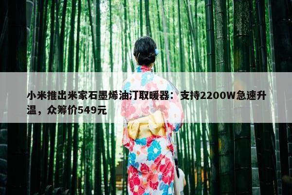 小米推出米家石墨烯油汀取暖器：支持2200W急速升温，众筹价549元