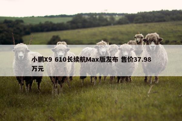 小鹏X9 610长续航Max版发布 售价37.98万元