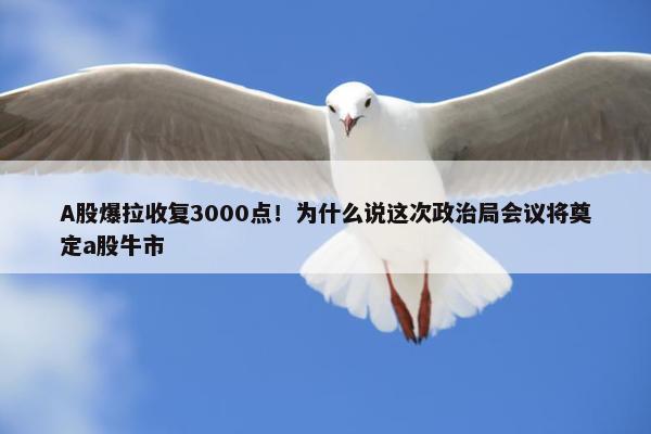 A股爆拉收复3000点！为什么说这次政治局会议将奠定a股牛市