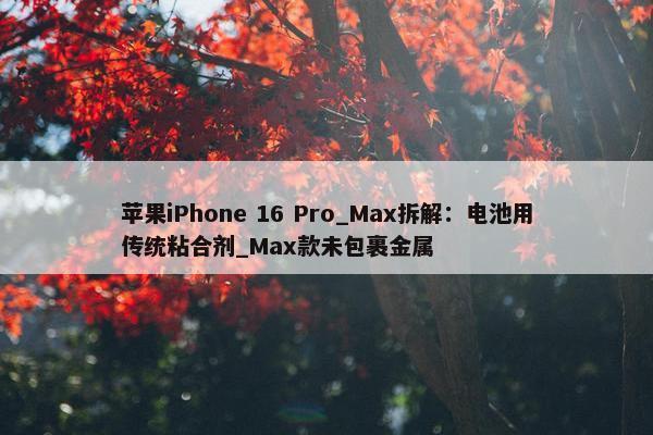 苹果iPhone 16 Pro_Max拆解：电池用传统粘合剂_Max款未包裹金属