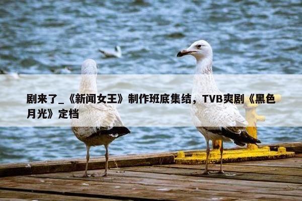 剧来了_《新闻女王》制作班底集结，TVB爽剧《黑色月光》定档