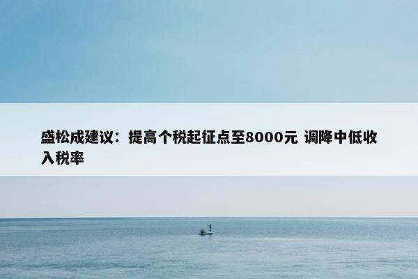 盛松成建议：提高个税起征点至8000元 调降中低收入税率