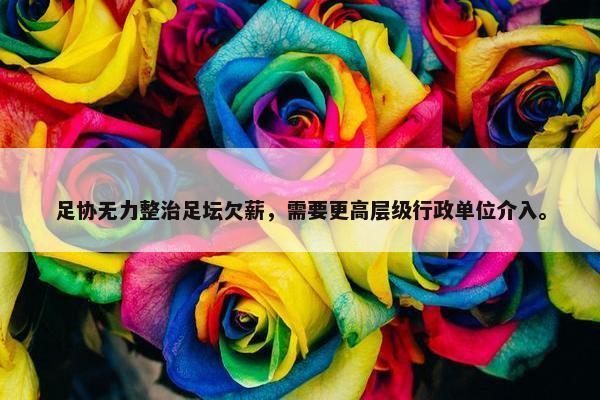 足协无力整治足坛欠薪，需要更高层级行政单位介入。