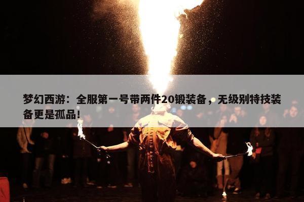 梦幻西游：全服第一号带两件20锻装备，无级别特技装备更是孤品！