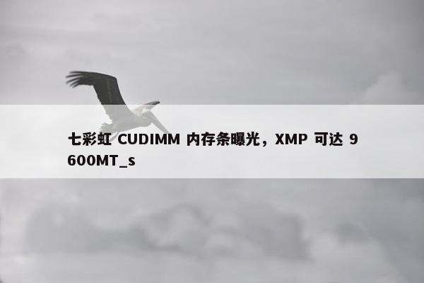 七彩虹 CUDIMM 内存条曝光，XMP 可达 9600MT_s