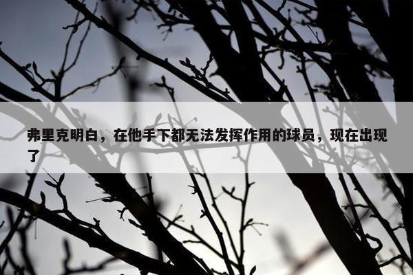 弗里克明白，在他手下都无法发挥作用的球员，现在出现了