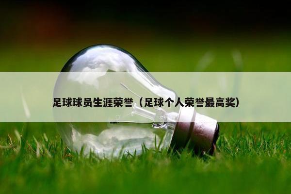 足球球员生涯荣誉（足球个人荣誉最高奖）