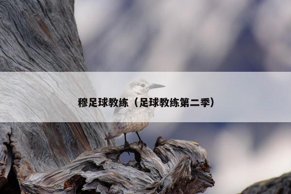 穆足球教练（足球教练第二季）