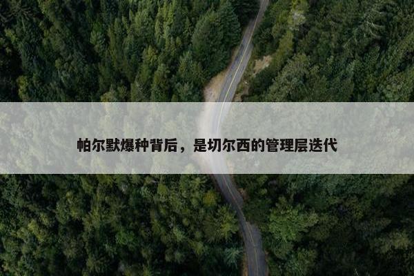 帕尔默爆种背后，是切尔西的管理层迭代