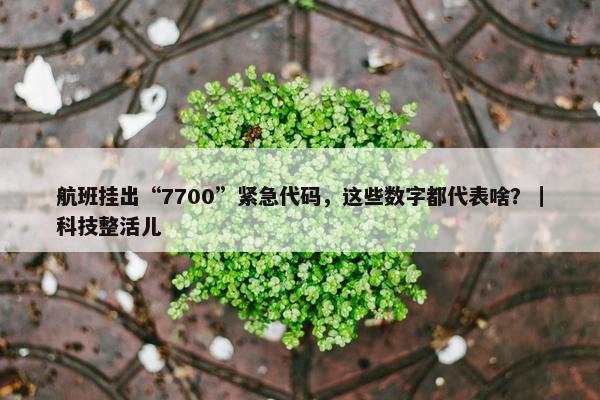 航班挂出“7700”紧急代码，这些数字都代表啥？｜科技整活儿