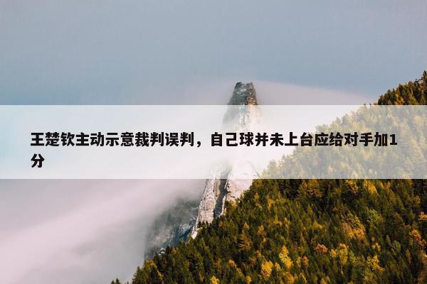 王楚钦主动示意裁判误判，自己球并未上台应给对手加1分