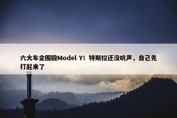 六大车企围殴Model Y！特斯拉还没吭声，自己先打起来了