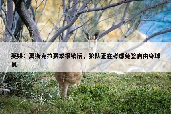 英媒：莫斯克拉赛季报销后，狼队正在考虑免签自由身球员