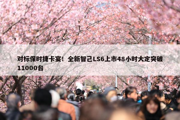 对标保时捷卡宴！全新智己LS6上市48小时大定突破11000台