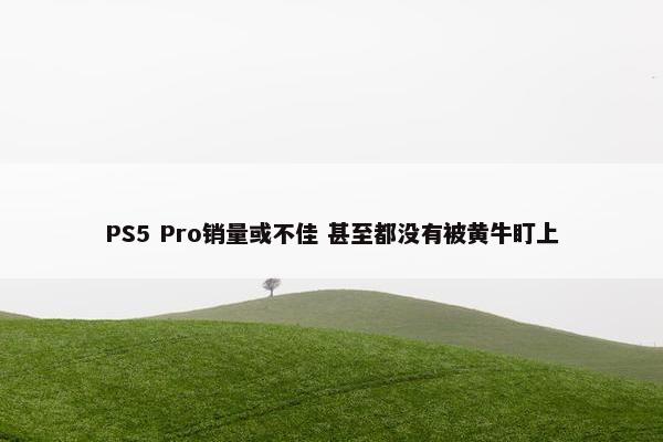 PS5 Pro销量或不佳 甚至都没有被黄牛盯上