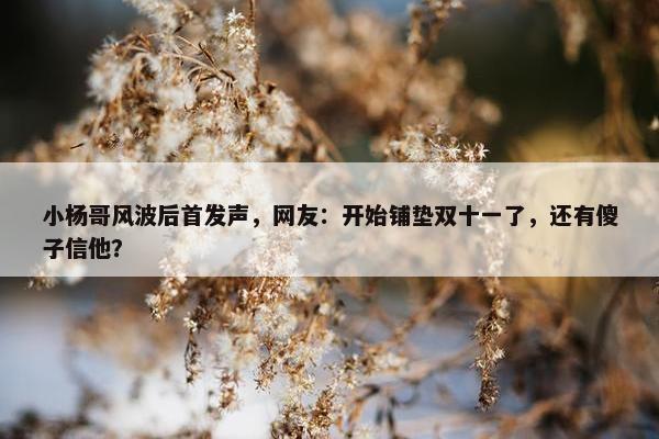 小杨哥风波后首发声，网友：开始铺垫双十一了，还有傻子信他？