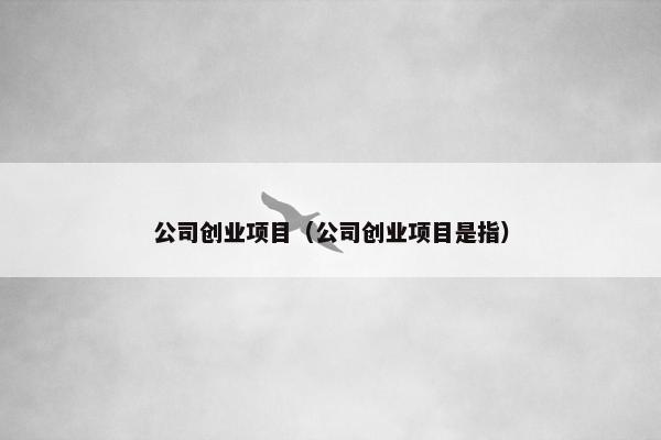 公司创业项目（公司创业项目是指）