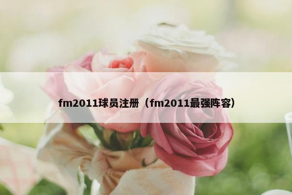 fm2011球员注册（fm2011最强阵容）