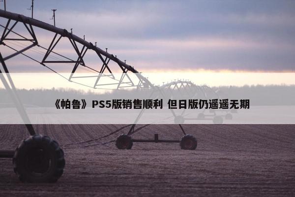 《帕鲁》PS5版销售顺利 但日版仍遥遥无期