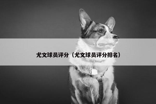 尤文球员评分（尤文球员评分排名）