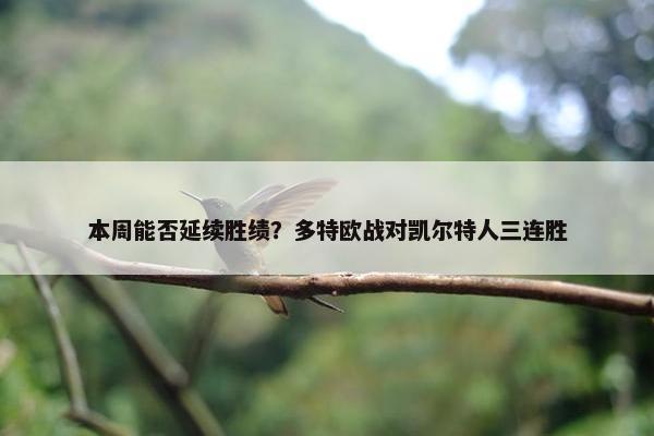 本周能否延续胜绩？多特欧战对凯尔特人三连胜