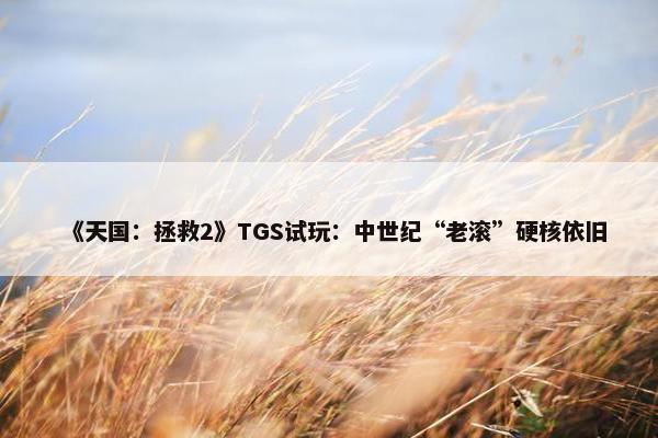 《天国：拯救2》TGS试玩：中世纪“老滚”硬核依旧