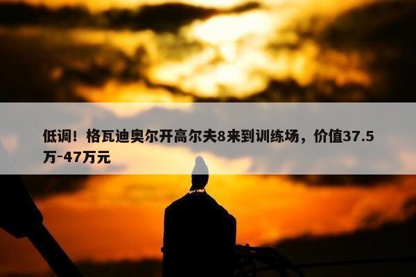 低调！格瓦迪奥尔开高尔夫8来到训练场，价值37.5万-47万元