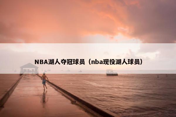 NBA湖人夺冠球员（nba现役湖人球员）