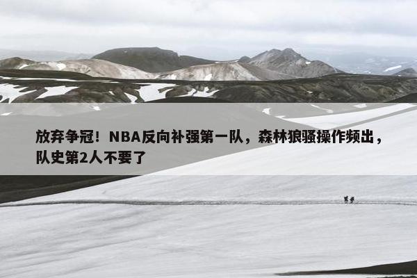 放弃争冠！NBA反向补强第一队，森林狼骚操作频出，队史第2人不要了