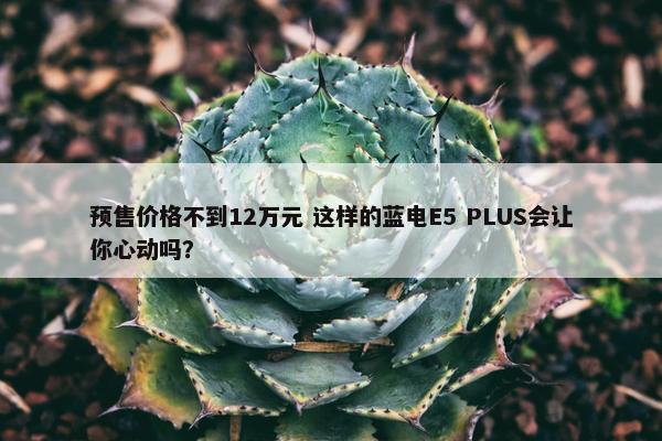 预售价格不到12万元 这样的蓝电E5 PLUS会让你心动吗？