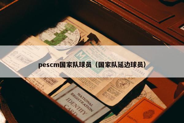 pescm国家队球员（国家队延边球员）