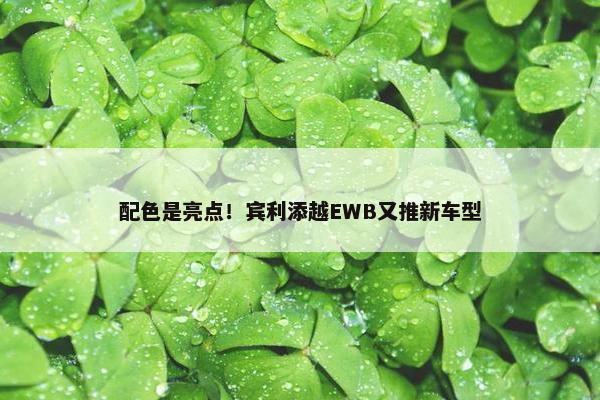 配色是亮点！宾利添越EWB又推新车型