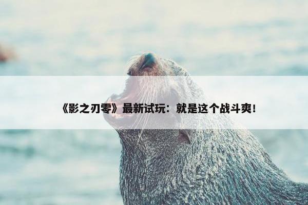 《影之刃零》最新试玩：就是这个战斗爽！