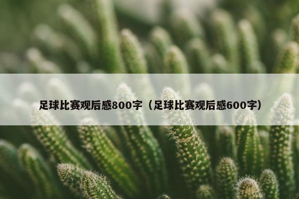 足球比赛观后感800字（足球比赛观后感600字）