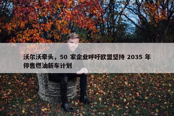 沃尔沃牵头，50 家企业呼吁欧盟坚持 2035 年停售燃油新车计划