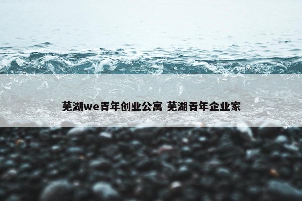 芜湖we青年创业公寓 芜湖青年企业家