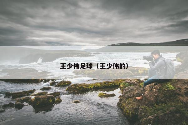 王少伟足球（王少伟的）