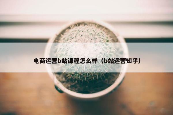 电商运营b站课程怎么样（b站运营知乎）