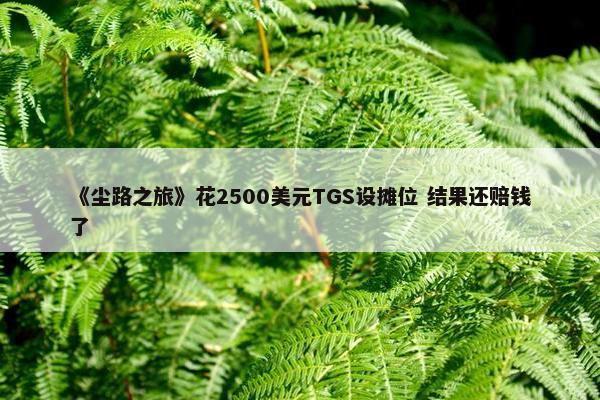 《尘路之旅》花2500美元TGS设摊位 结果还赔钱了