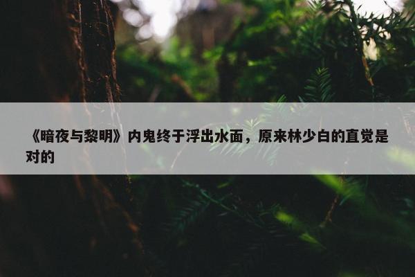 《暗夜与黎明》内鬼终于浮出水面，原来林少白的直觉是对的