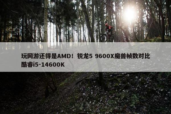 玩网游还得是AMD！锐龙5 9600X魔兽帧数对比酷睿i5-14600K