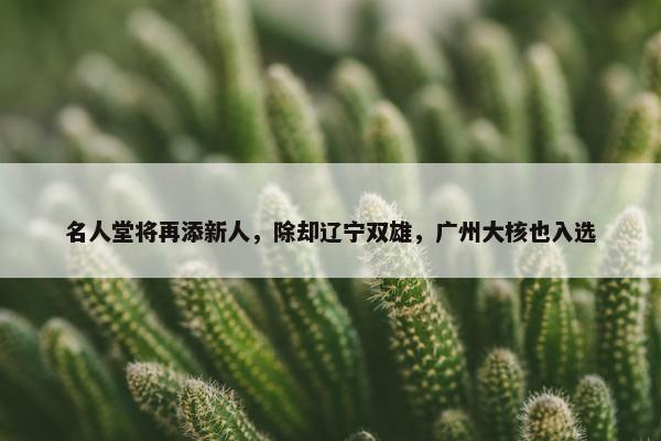 名人堂将再添新人，除却辽宁双雄，广州大核也入选