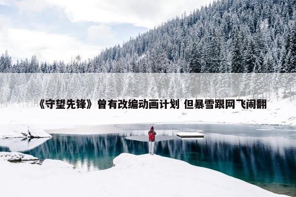 《守望先锋》曾有改编动画计划 但暴雪跟网飞闹翻