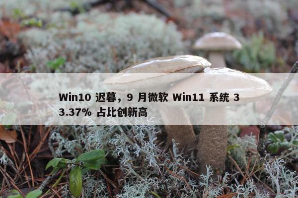 Win10 迟暮，9 月微软 Win11 系统 33.37% 占比创新高