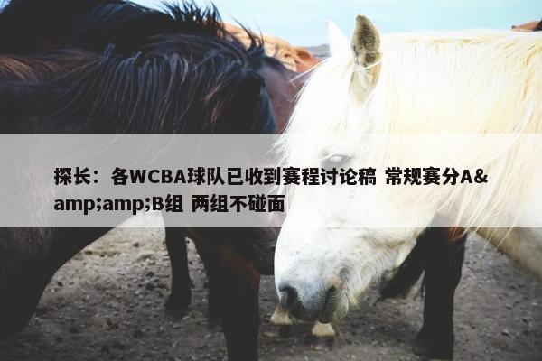 探长：各WCBA球队已收到赛程讨论稿 常规赛分A&amp;B组 两组不碰面