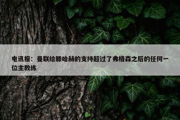 电讯报：曼联给滕哈赫的支持超过了弗格森之后的任何一位主教练