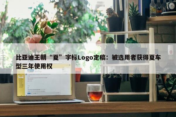 比亚迪王朝“夏”字标Logo定稿：被选用者获得夏车型三年使用权