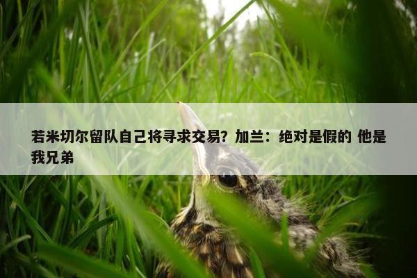 若米切尔留队自己将寻求交易？加兰：绝对是假的 他是我兄弟