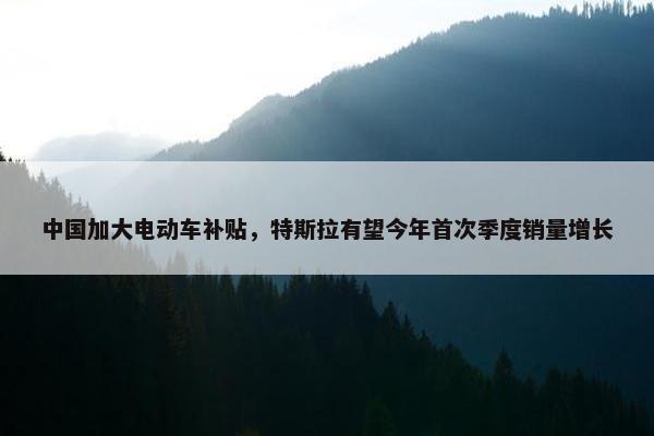 中国加大电动车补贴，特斯拉有望今年首次季度销量增长