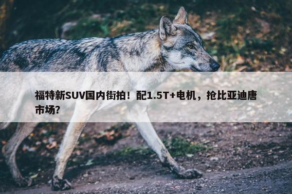 福特新SUV国内街拍！配1.5T+电机，抢比亚迪唐市场？